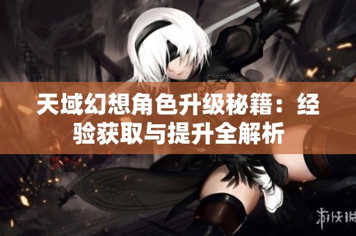 天域幻想角色升级秘籍：经验获取与提升全解析