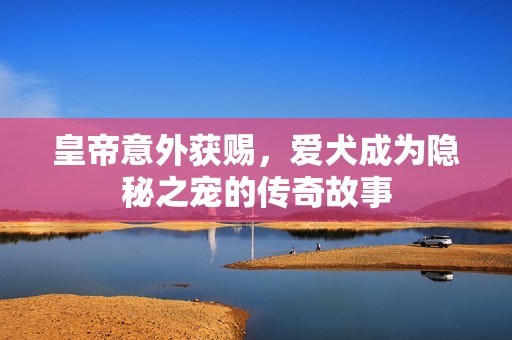 皇帝意外获赐，爱犬成为隐秘之宠的传奇故事