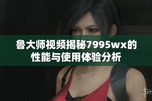 鲁大师视频揭秘7995wx的性能与使用体验分析