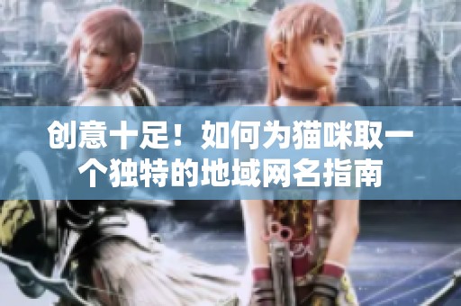 创意十足！如何为猫咪取一个独特的地域网名指南