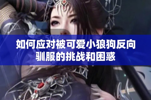 如何应对被可爱小狼狗反向驯服的挑战和困惑