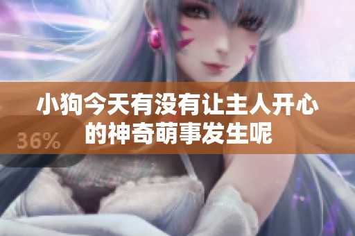 小狗今天有没有让主人开心的神奇萌事发生呢