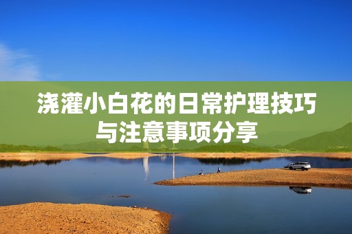 浇灌小白花的日常护理技巧与注意事项分享