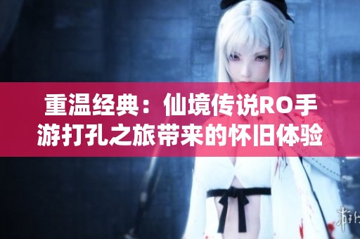 重温经典：仙境传说RO手游打孔之旅带来的怀旧体验