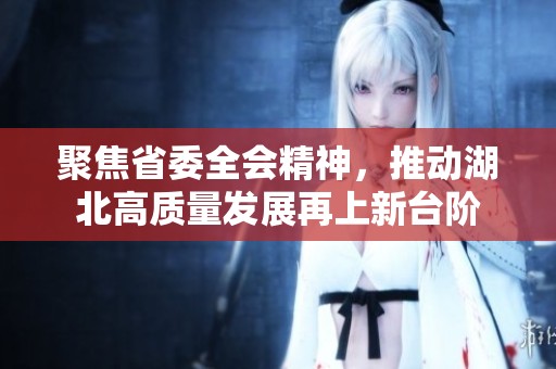 聚焦省委全会精神，推动湖北高质量发展再上新台阶