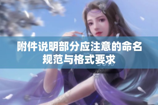 附件说明部分应注意的命名规范与格式要求
