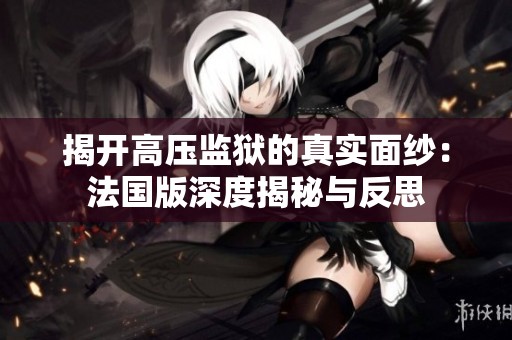 揭开高压监狱的真实面纱：法国版深度揭秘与反思
