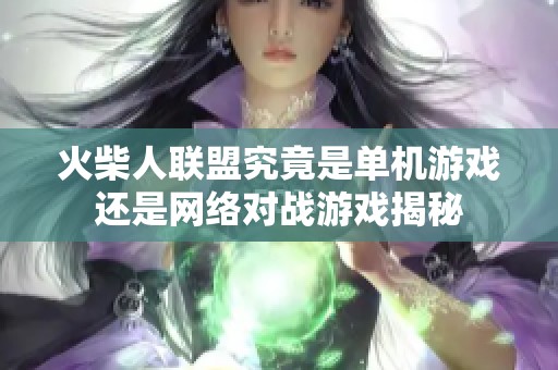 火柴人联盟究竟是单机游戏还是网络对战游戏揭秘