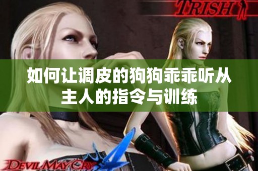 如何让调皮的狗狗乖乖听从主人的指令与训练