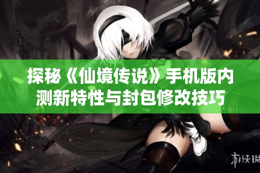 探秘《仙境传说》手机版内测新特性与封包修改技巧