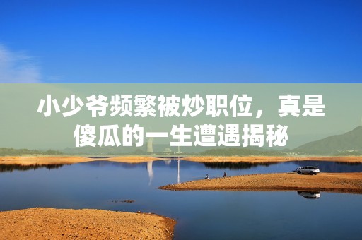 小少爷频繁被炒职位，真是傻瓜的一生遭遇揭秘
