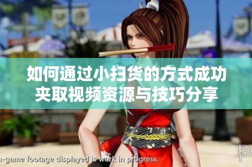 如何通过小扫货的方式成功夹取视频资源与技巧分享