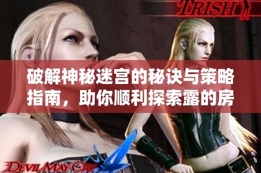 破解神秘迷宫的秘诀与策略指南，助你顺利探索露的房间