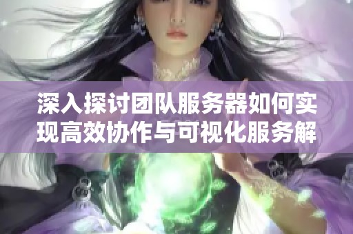 深入探讨团队服务器如何实现高效协作与可视化服务解析