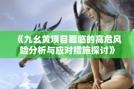 《九幺黄项目面临的高危风险分析与应对措施探讨》