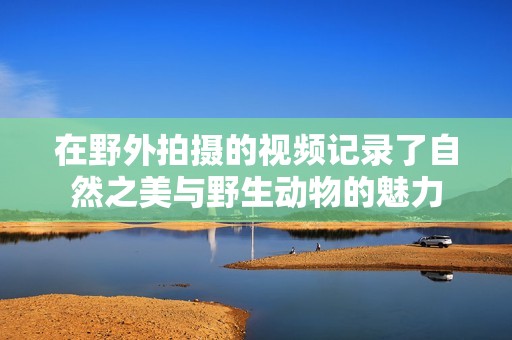 在野外拍摄的视频记录了自然之美与野生动物的魅力