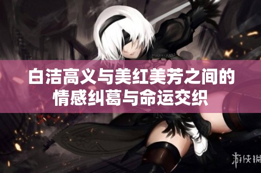 白洁高义与美红美芳之间的情感纠葛与命运交织