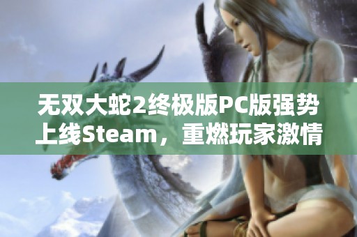 无双大蛇2终极版PC版强势上线Steam，重燃玩家激情