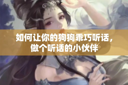 如何让你的狗狗乖巧听话，做个听话的小伙伴