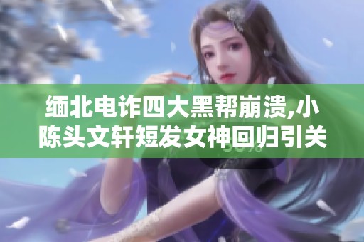 缅北电诈四大黑帮崩溃,小陈头文轩短发女神回归引关注