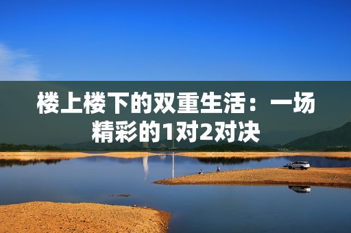 楼上楼下的双重生活：一场精彩的1对2对决