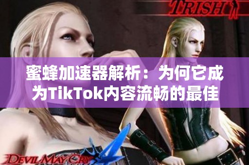 蜜蜂加速器解析：为何它成为TikTok内容流畅的最佳选择