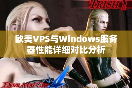 欧美VPS与Windows服务器性能详细对比分析