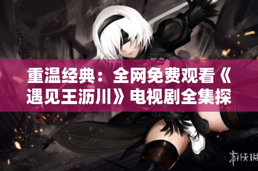 重温经典：全网免费观看《遇见王沥川》电视剧全集探秘
