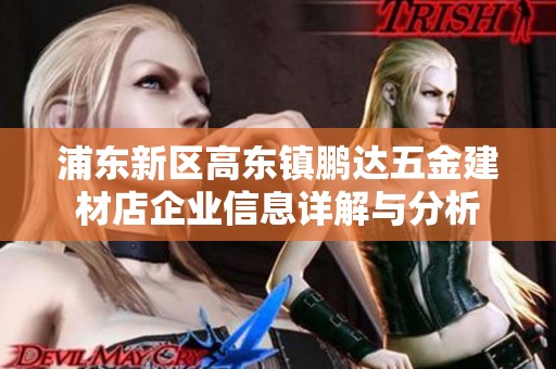 浦东新区高东镇鹏达五金建材店企业信息详解与分析