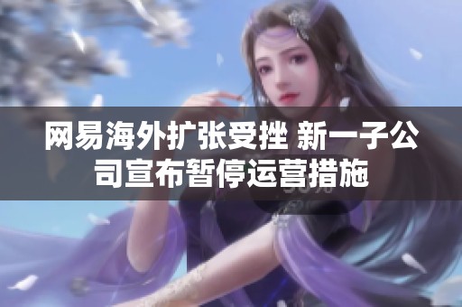 网易海外扩张受挫 新一子公司宣布暂停运营措施