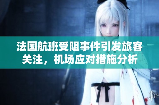 法国航班受阻事件引发旅客关注，机场应对措施分析