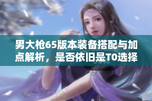 男大枪65版本装备搭配与加点解析，是否依旧是T0选择