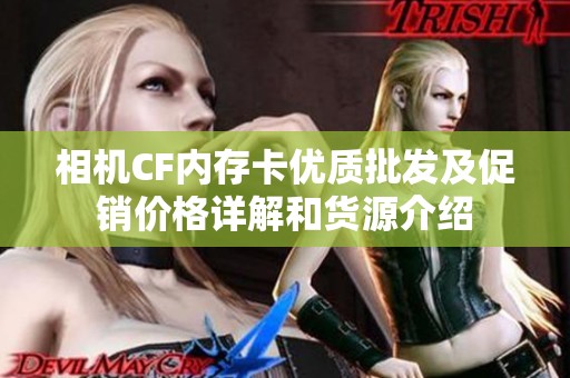 相机CF内存卡优质批发及促销价格详解和货源介绍