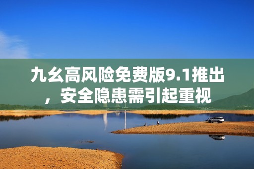 九幺高风险免费版9.1推出，安全隐患需引起重视