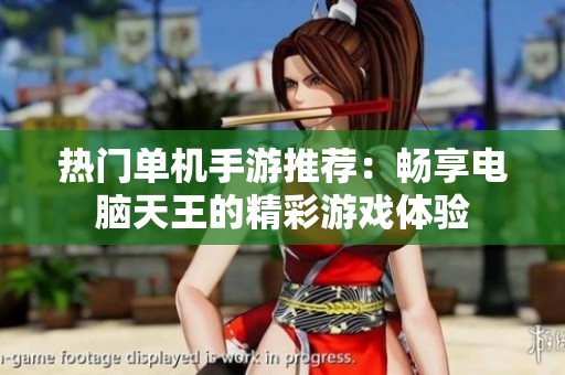 热门单机手游推荐：畅享电脑天王的精彩游戏体验
