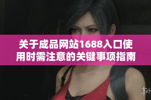 关于成品网站1688入口使用时需注意的关键事项指南