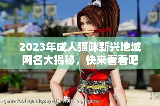 2023年成人猫咪新兴地域网名大揭秘，快来看看吧