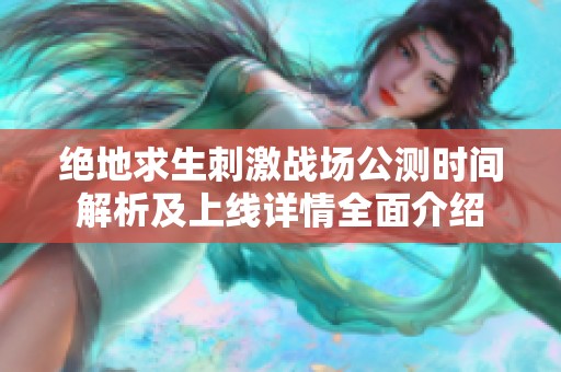 绝地求生刺激战场公测时间解析及上线详情全面介绍
