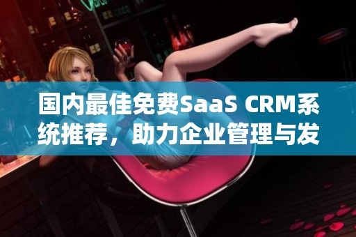 国内最佳免费SaaS CRM系统推荐，助力企业管理与发展