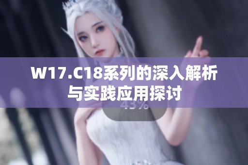 W17.C18系列的深入解析与实践应用探讨