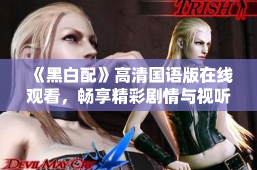《黑白配》高清国语版在线观看，畅享精彩剧情与视听盛宴