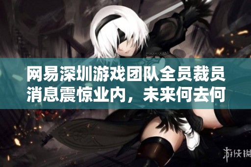网易深圳游戏团队全员裁员消息震惊业内，未来何去何从