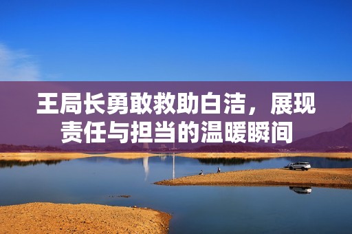 王局长勇敢救助白洁，展现责任与担当的温暖瞬间