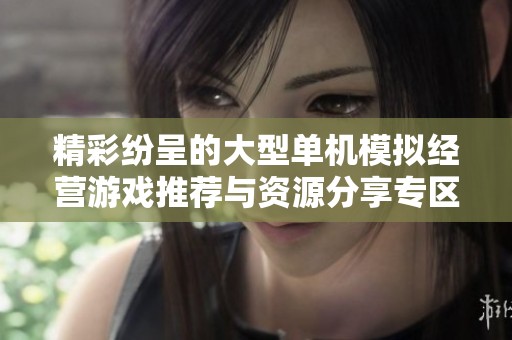 精彩纷呈的大型单机模拟经营游戏推荐与资源分享专区